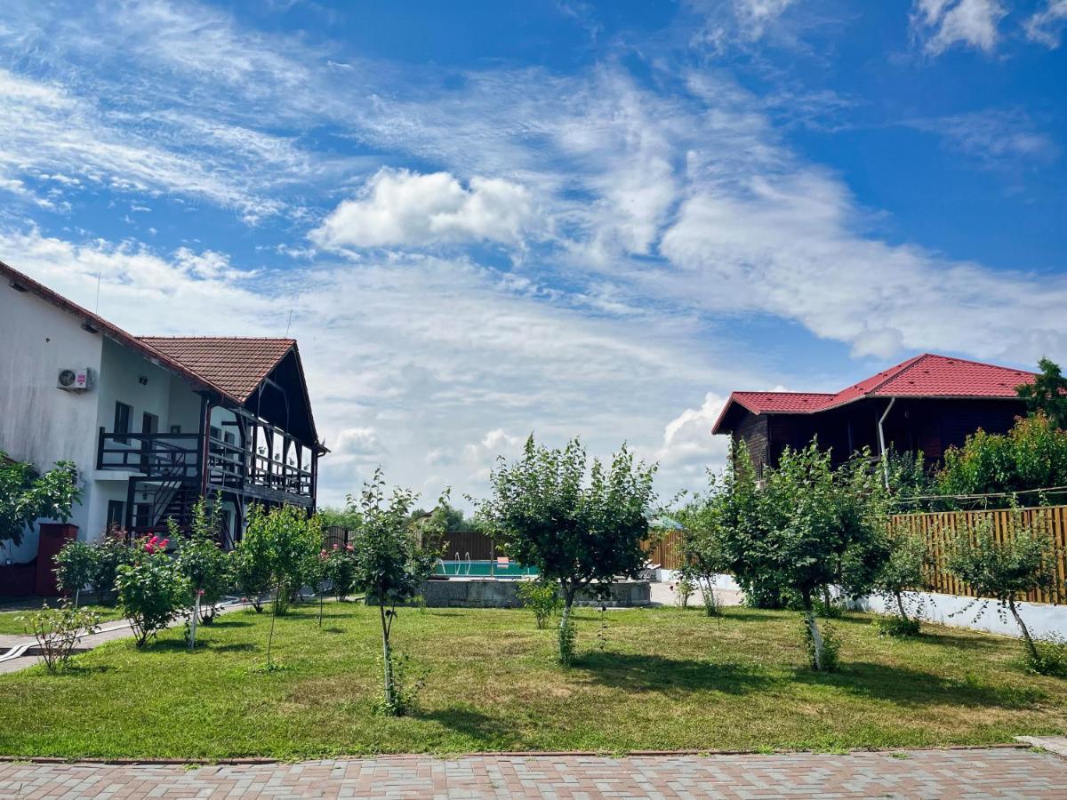 Pensiunea Crisan Dış mekan fotoğraf